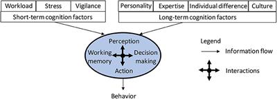 Human Cognition Through the Lens of Social Engineering Cyberattacks